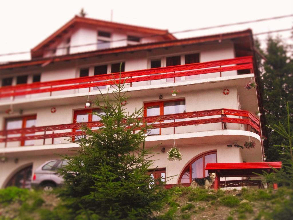 Hotel Vila Rânca Exteriér fotografie